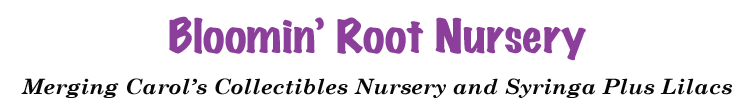 Bloomin' Root Nurseru